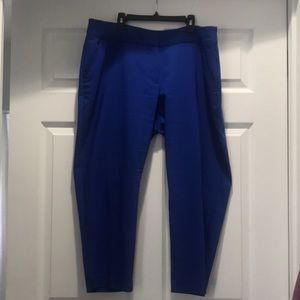 Cobalt blue pants Apt 9
